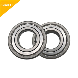 316不銹鋼軸承 6021-2RS